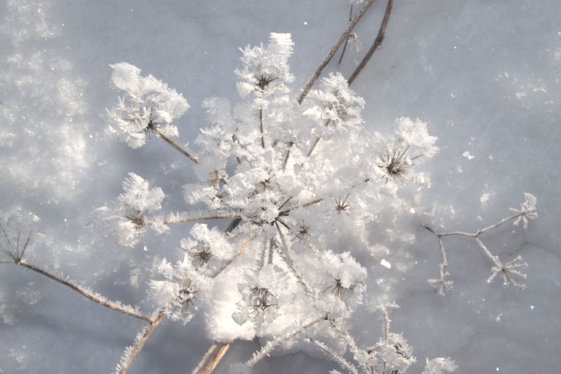 Verschneite Landschaft mit Holzhütte