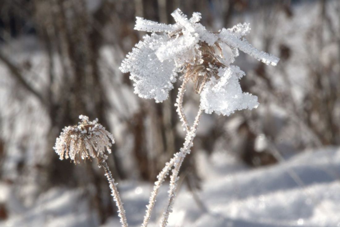 Verschneite Landschaft mit Holzhütte
